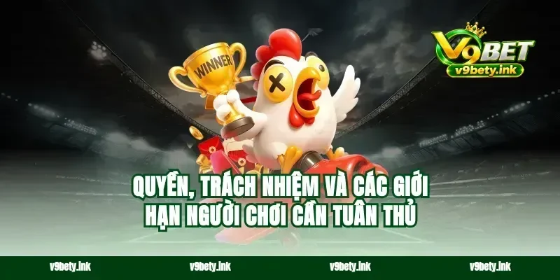 Quyền, trách nhiệm và các giới hạn người chơi cần tuân thủ